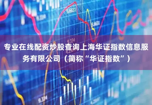专业在线配资炒股查询上海华证指数信息服务有限公司(简称“华证指数”)