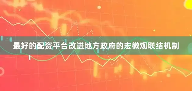 最好的配资平台改进地方政府的宏微观联结机制
