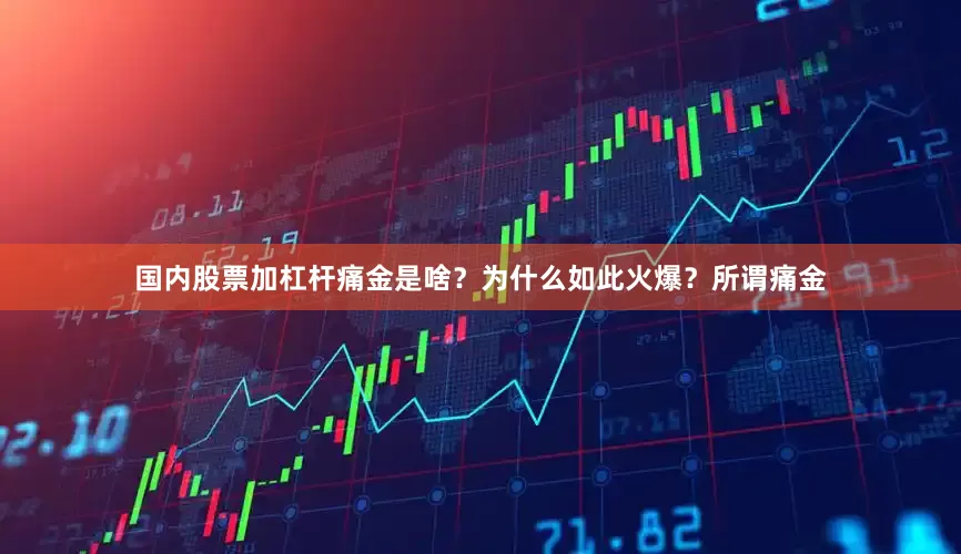 国内股票加杠杆　　痛金是啥？为什么如此火爆？　　所谓痛金