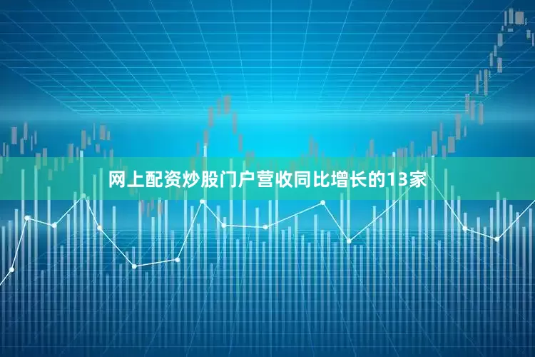 网上配资炒股门户营收同比增长的13家